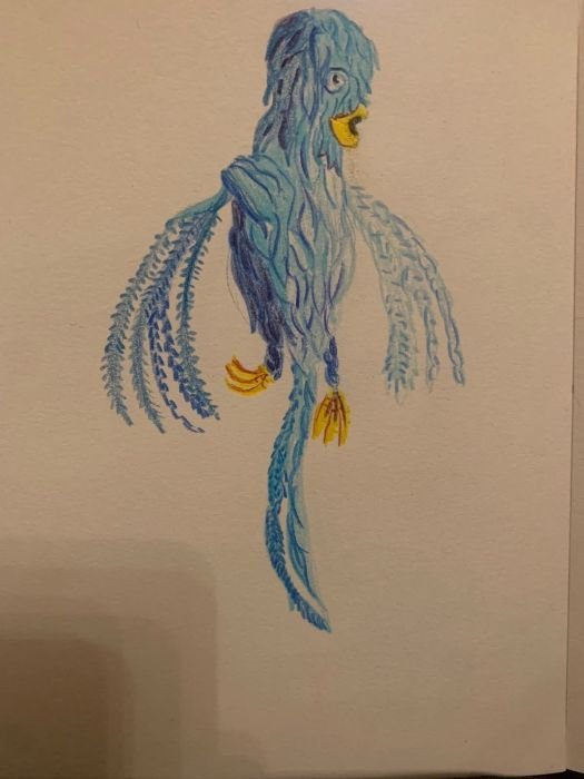 Bird — Paolo