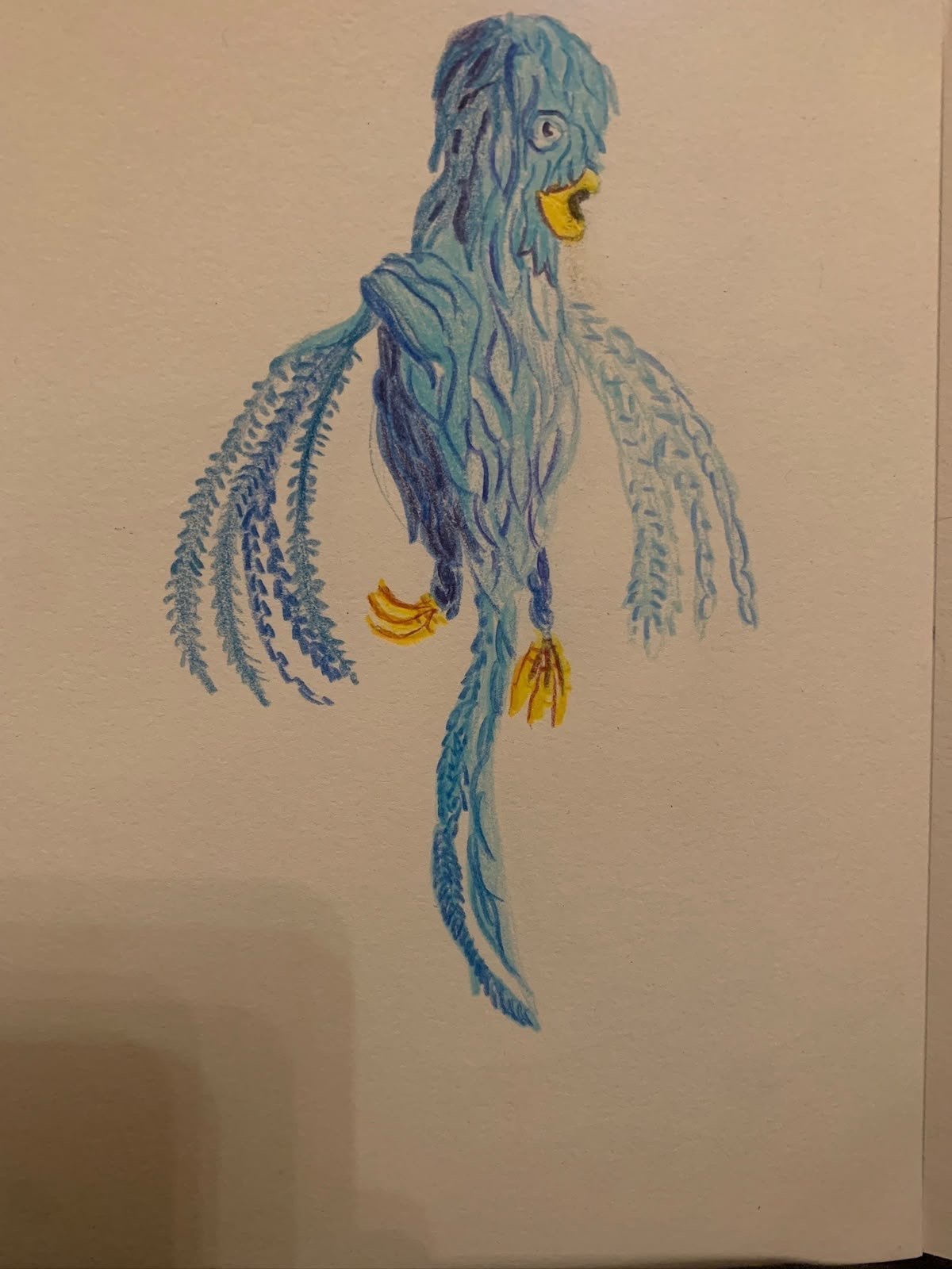 Bird — Paolo
