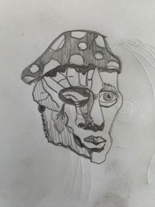 Champignon — Paolo