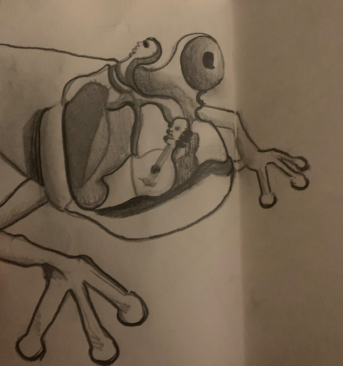 Grenouille — Paolo