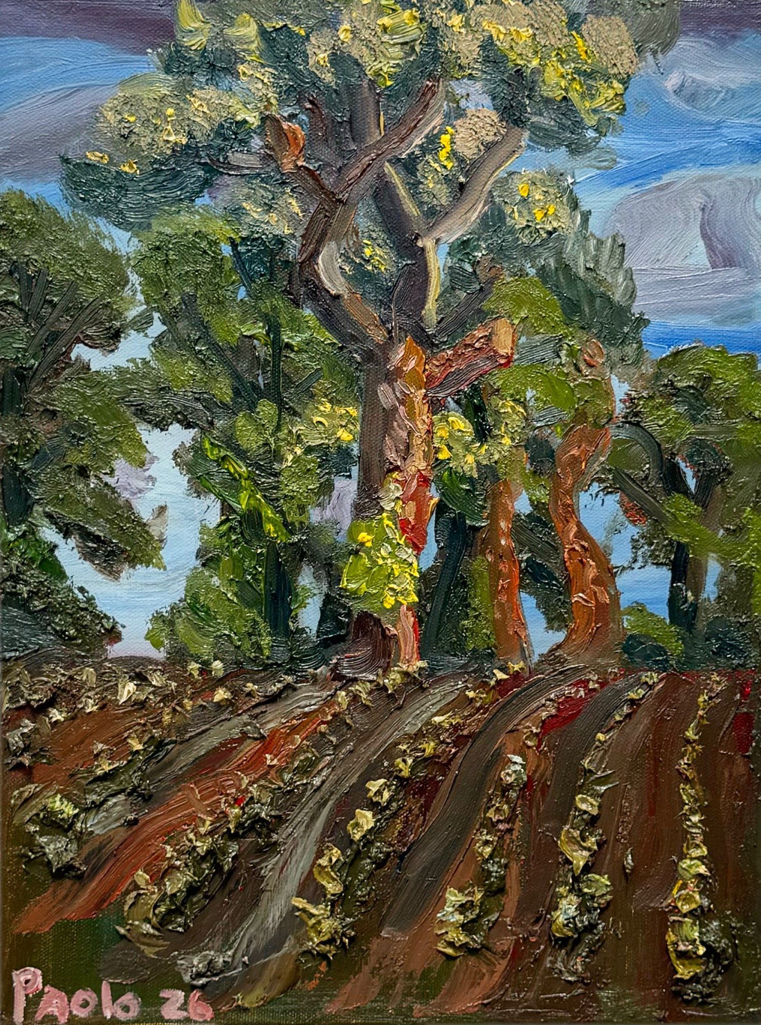 Arbre, 40*30 cm / Huile sur toile — Paolo
